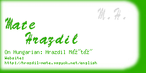 mate hrazdil business card